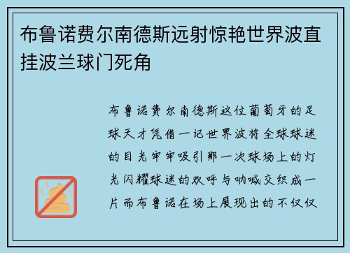 布鲁诺费尔南德斯远射惊艳世界波直挂波兰球门死角