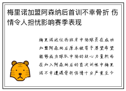 梅里诺加盟阿森纳后首训不幸骨折 伤情令人担忧影响赛季表现